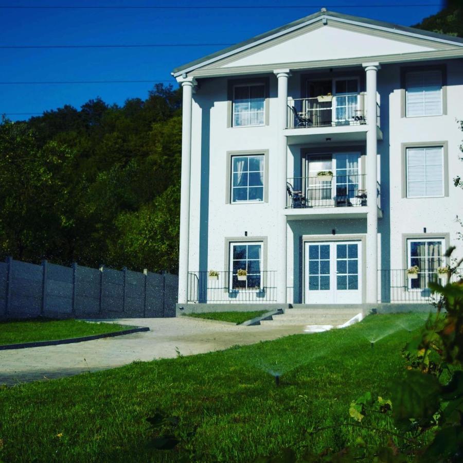 Green Hill Villa Calimanesti Exterior foto